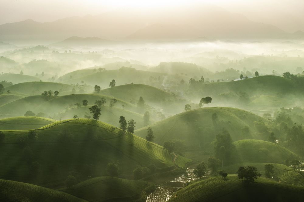 Photograph by Sky Hunter Duy Quang