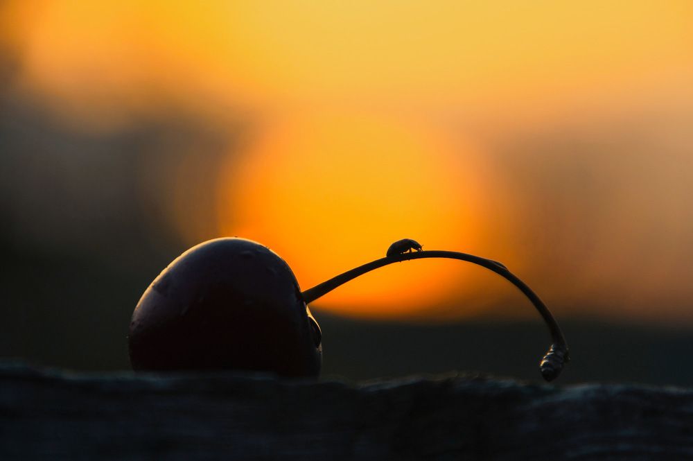 Photograph by Анастасия Тетерина