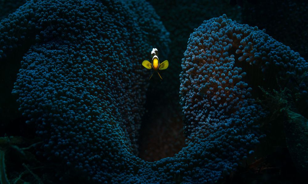 Photograph by Андрей Савин