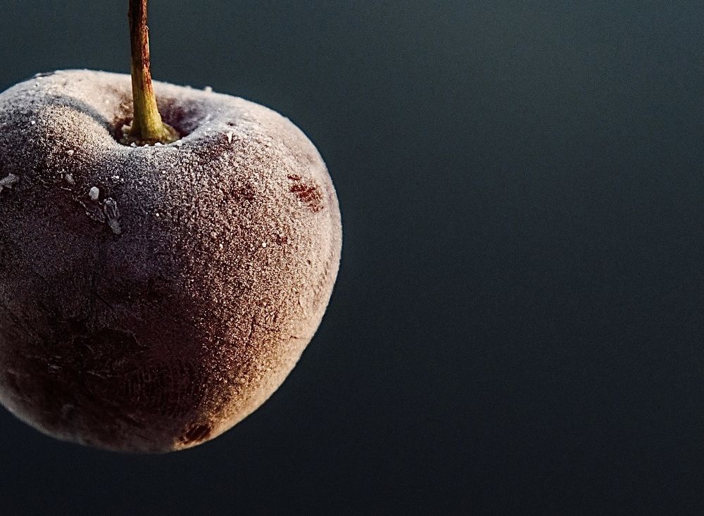 Photograph by Анастасия Тетерина