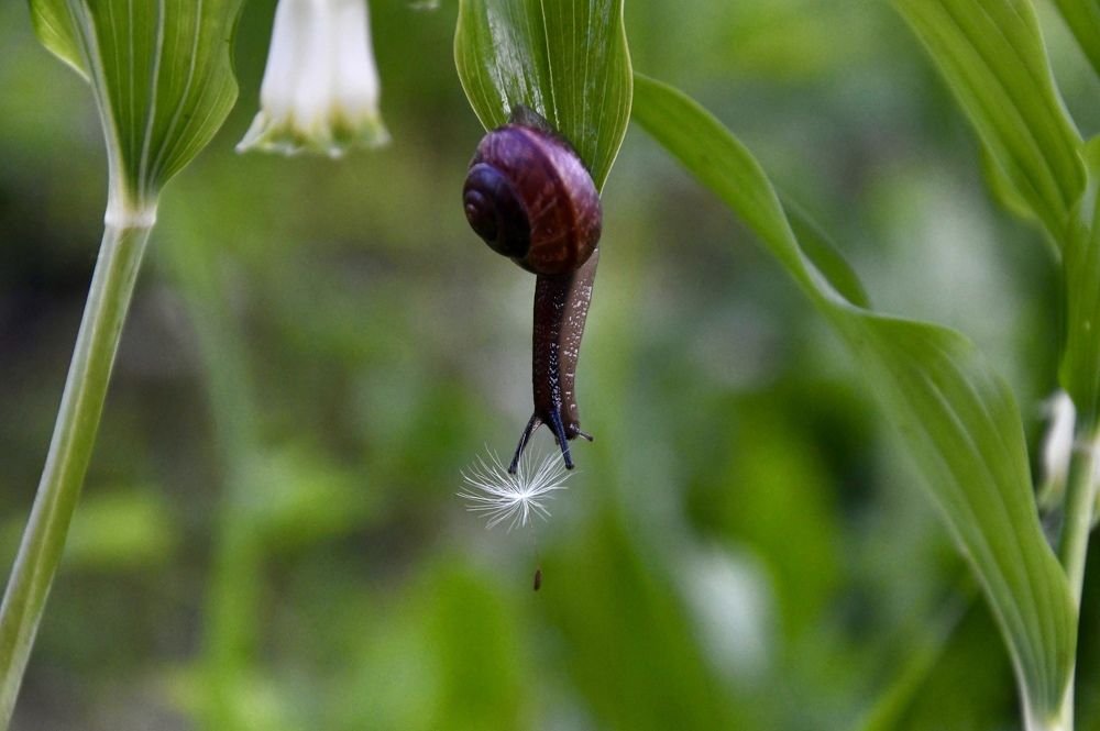 Photograph by Анастасия Тетерина