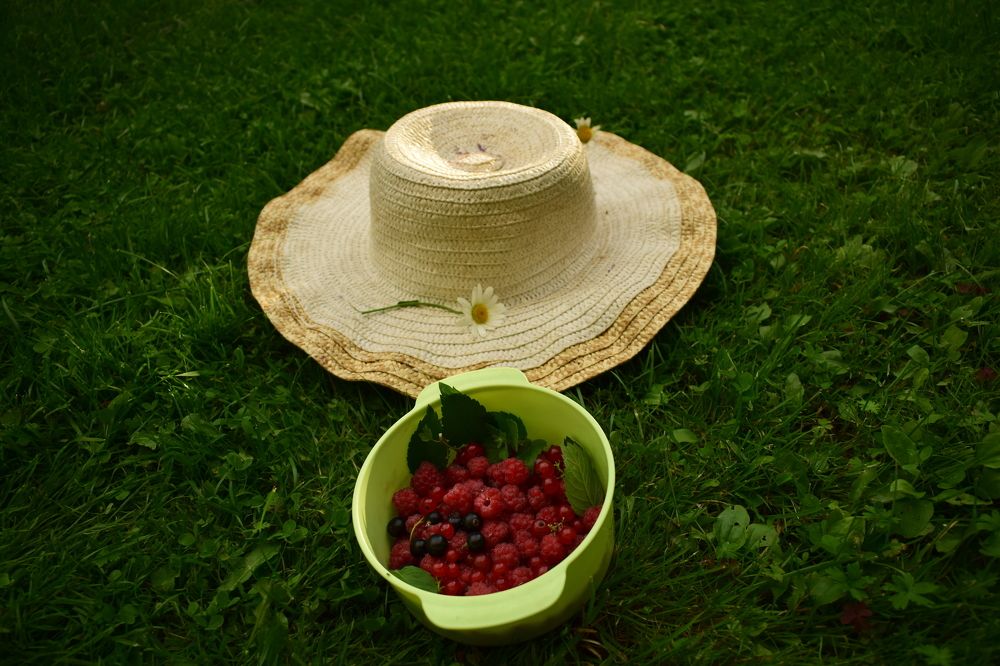 "Лето, август и витамины"