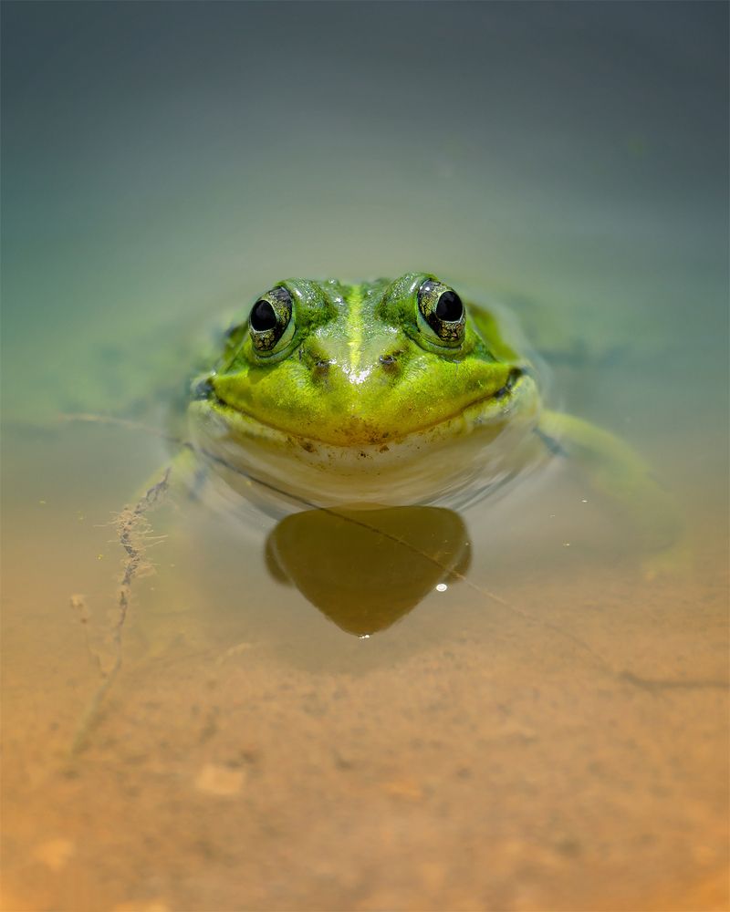 Фотография автора Анна Олещук