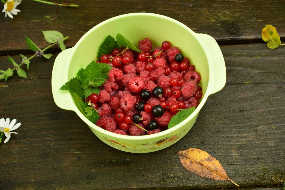 Photograph by Наталья Еременко