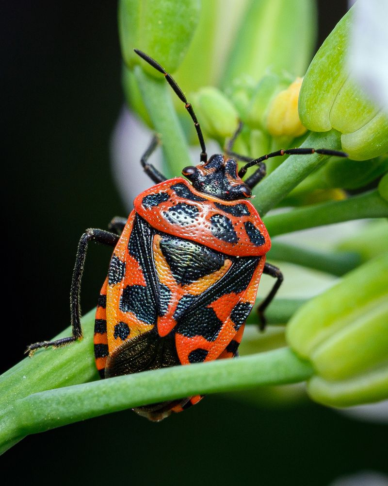 Photograph by Виталий Бодрягин