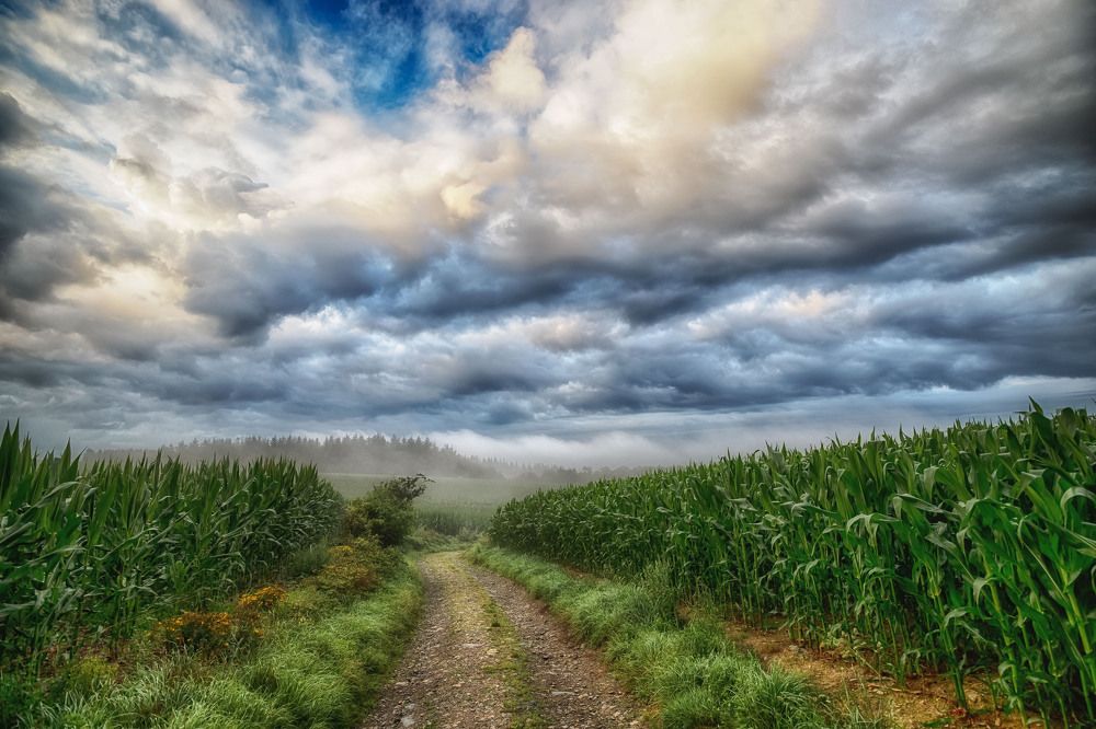 Photograph by Guy Krier