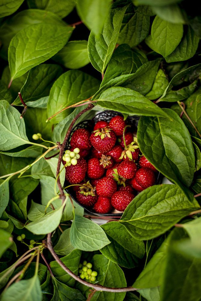 Photograph by Юлия Силина