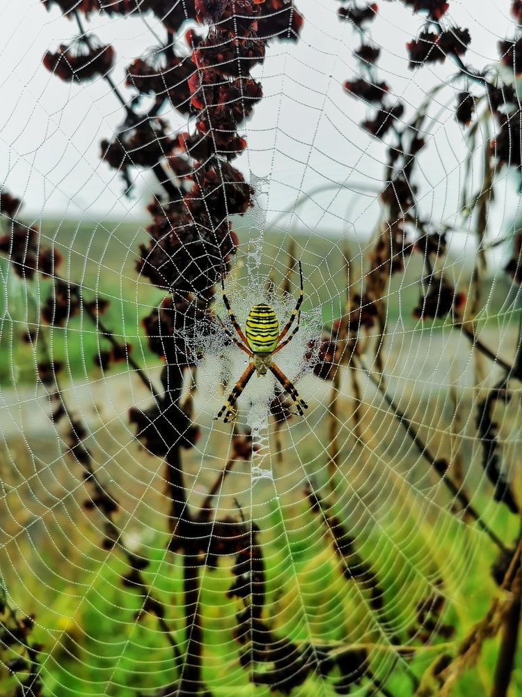 Photograph by Андрей Тур