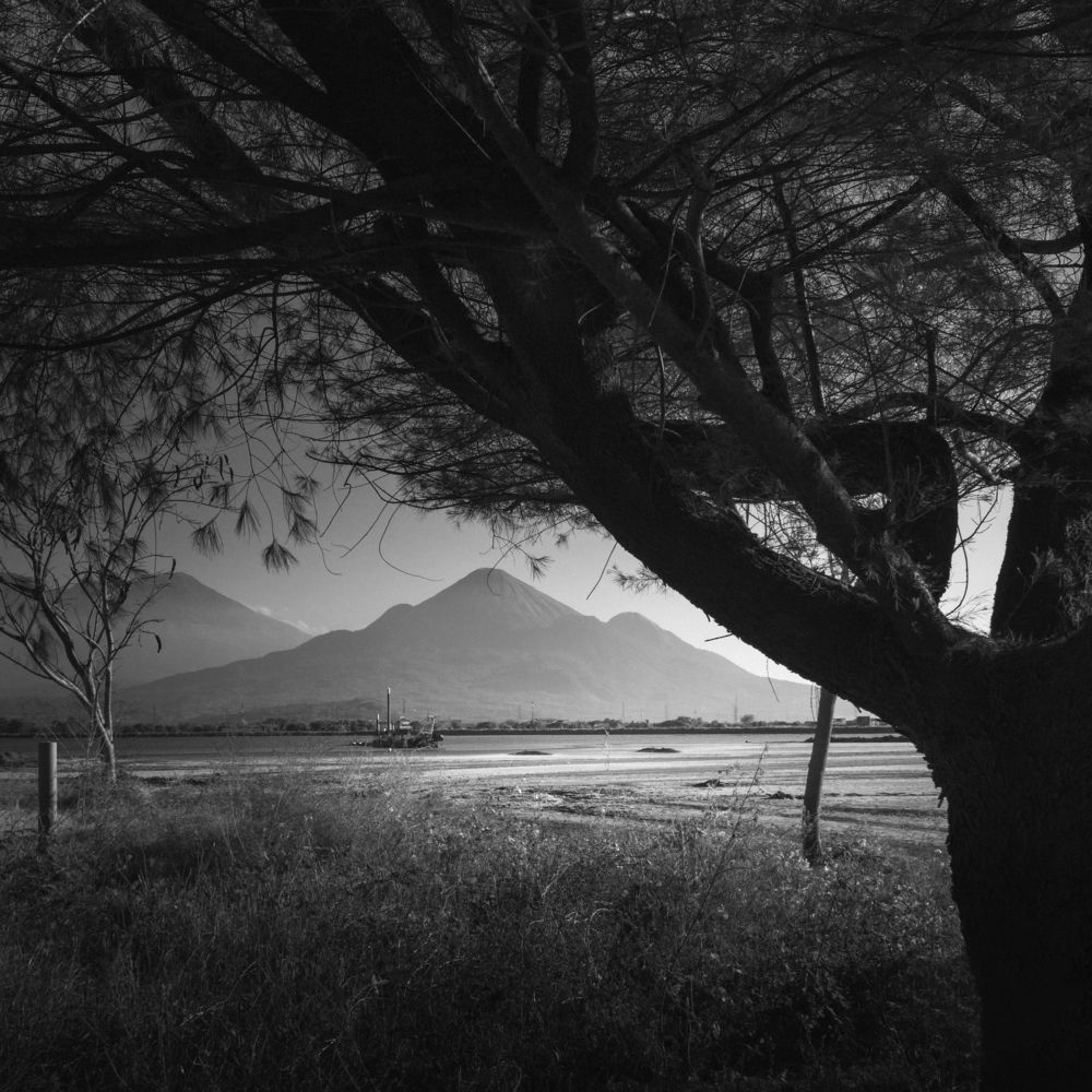 Photograph by Ready Rey