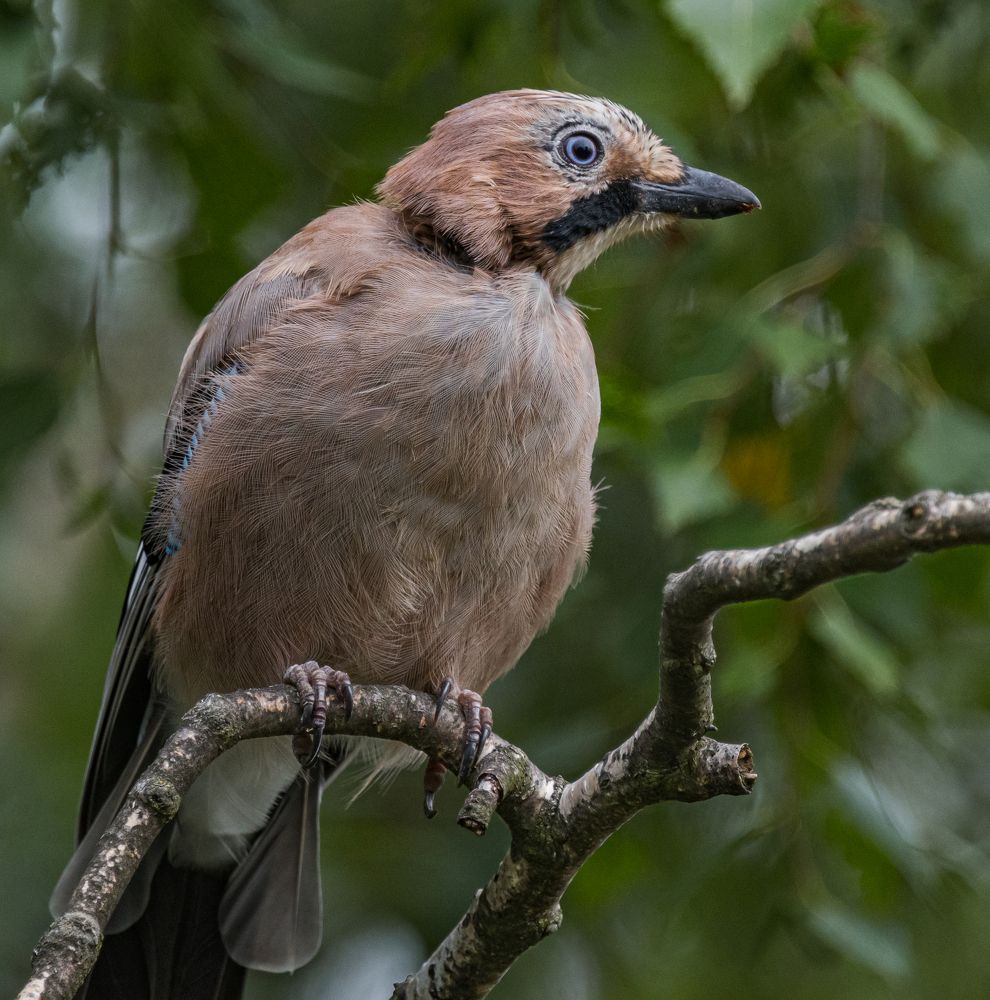 Photograph by Курлянцев Алексей