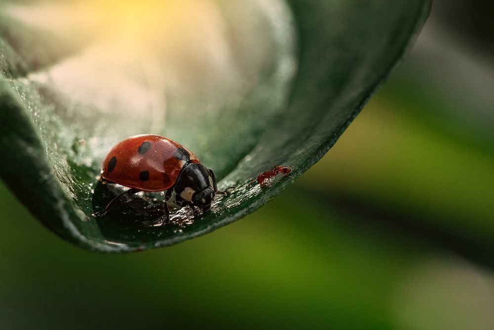 Photograph by Дмитрий Ру