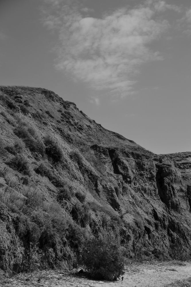 Photograph by Дарья Сычева