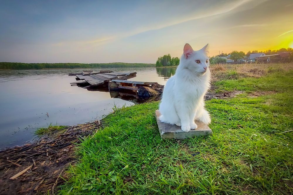 Photograph by Жданов Дмитрий