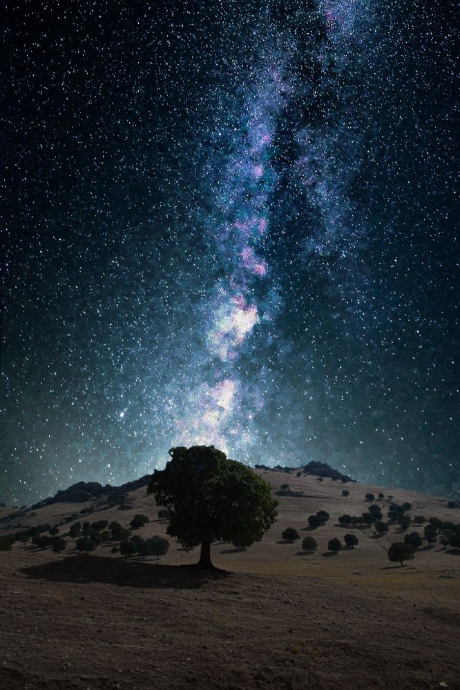 Photograph by Wadaa karem Karem