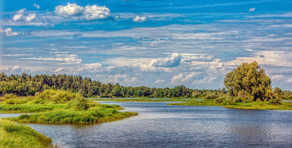 После дождя.