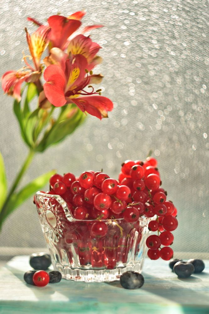 НАТЮРМОРТ С КРАСНОЙ  СМОРОДИНОЙ