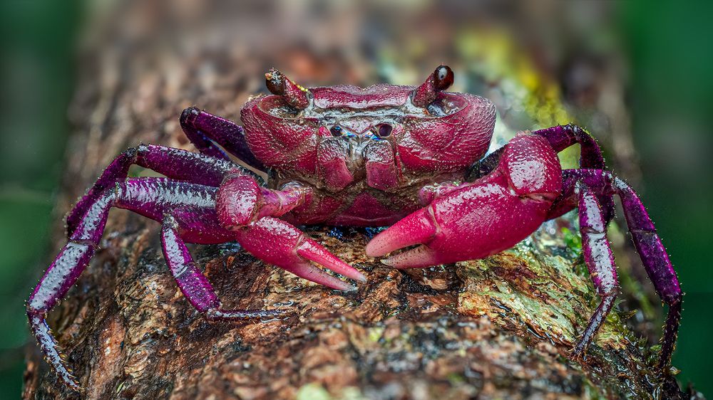 colourful and glowing