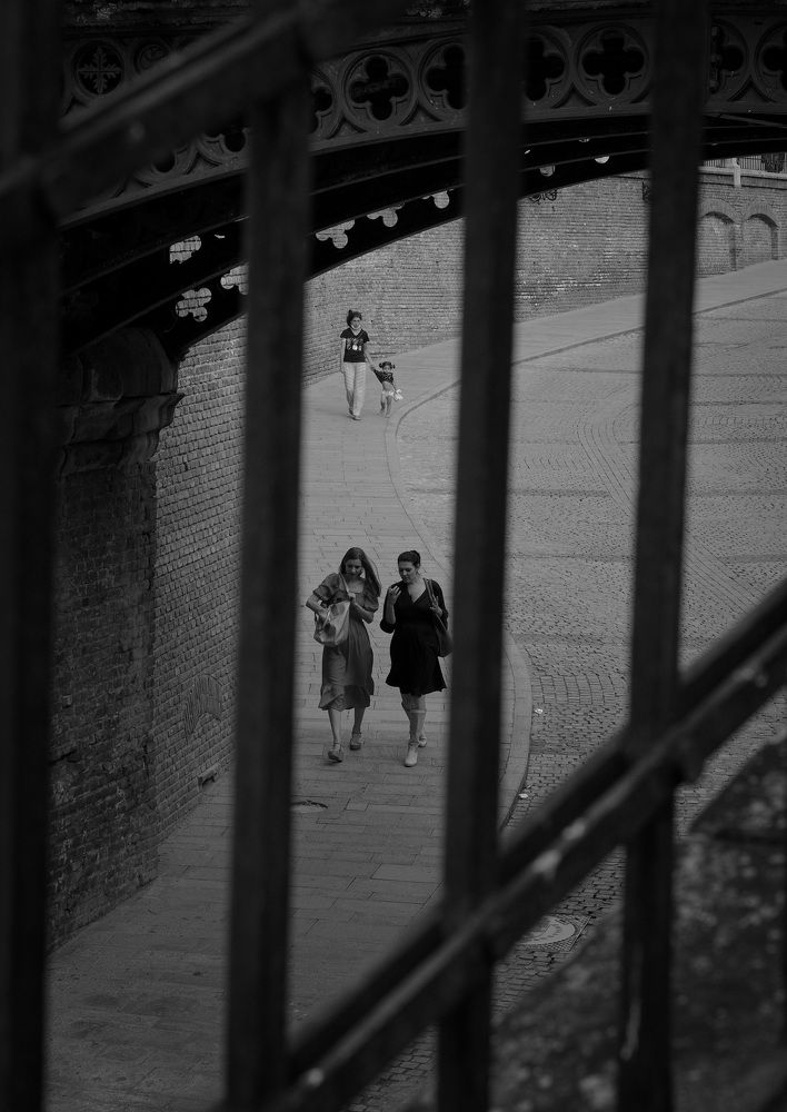 Photograph by Silviu Avramescu