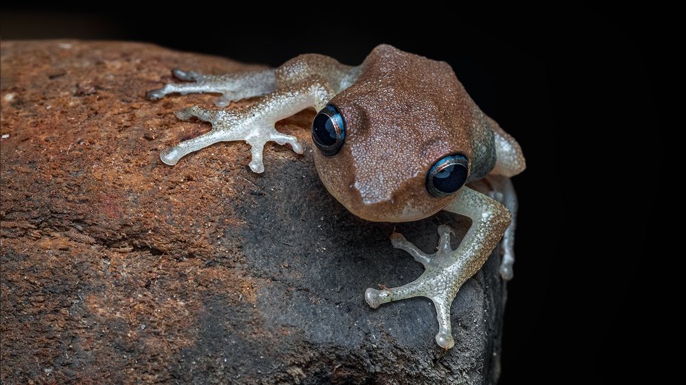 Photograph by ashok manjanath