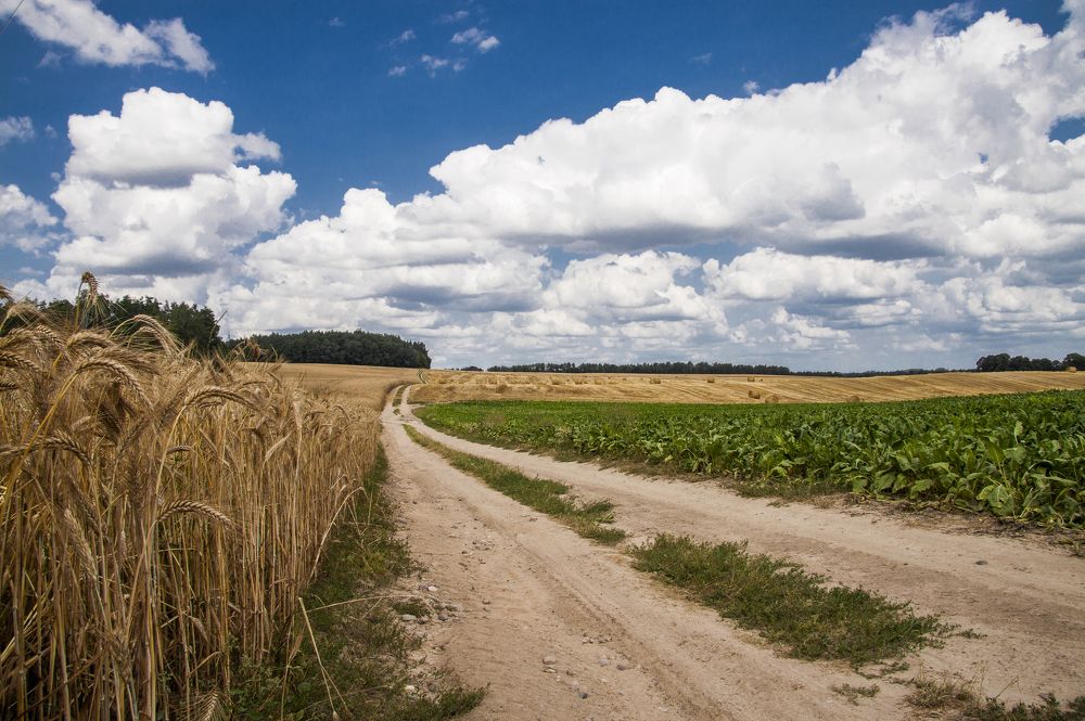 Июльский зной - 6