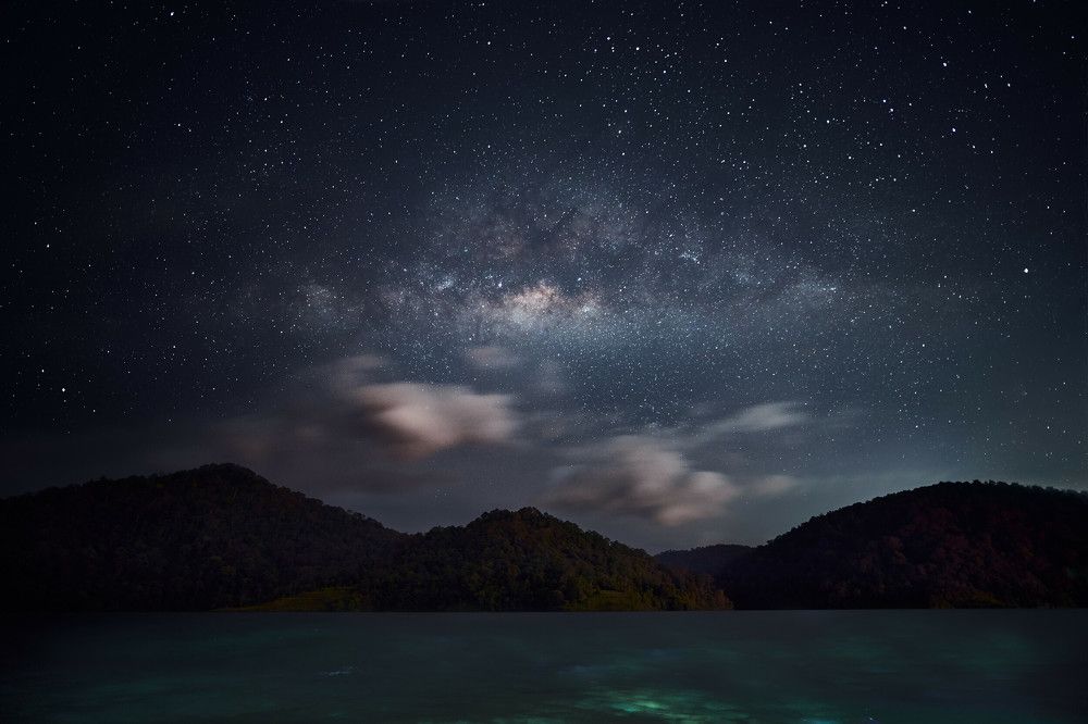 Photograph by Lee Rico