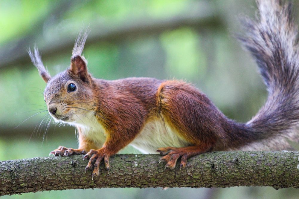 Photograph by Chic.chiquitita