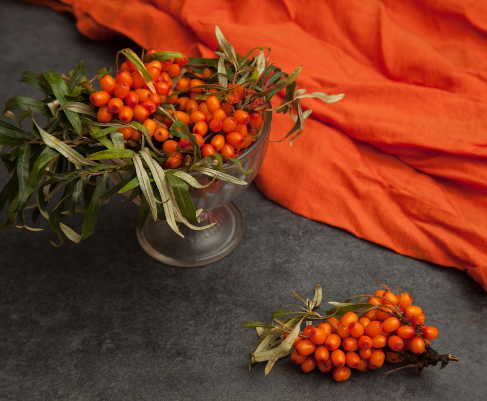 Photograph by Эльвира Сагдиева