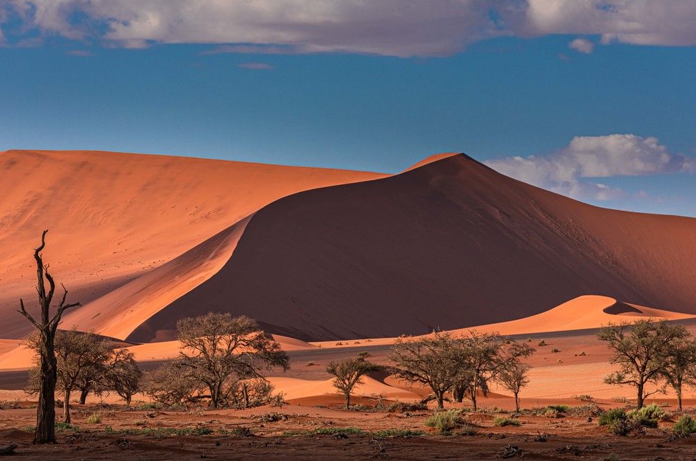 Утро на дюнах