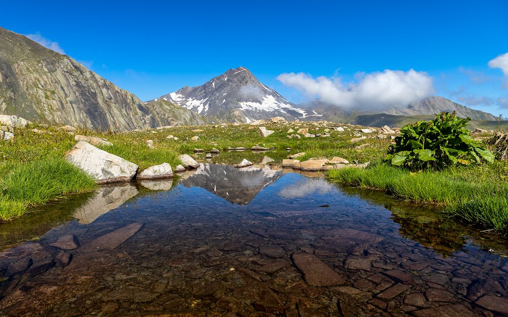 Фотография автора Олег Кожухов