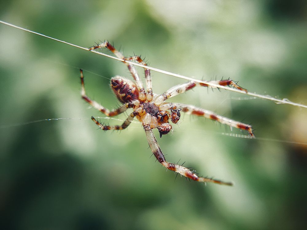 Photograph by Евгения Синкина