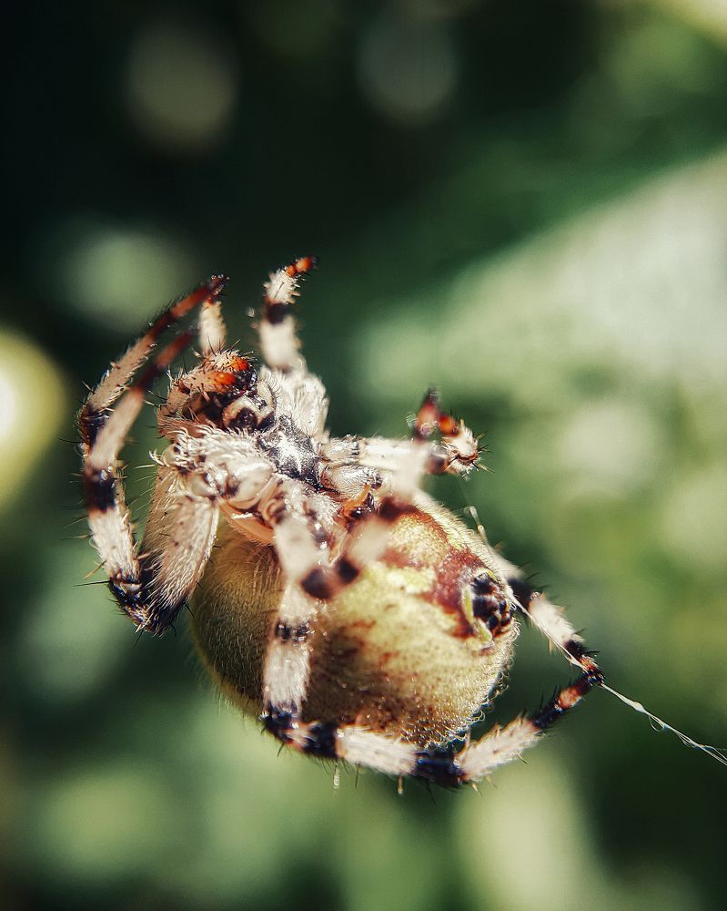 Photograph by Евгения Синкина