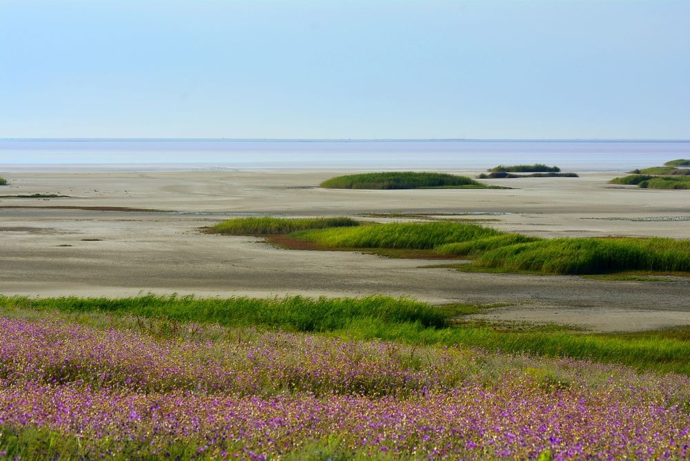Photograph by Ольга