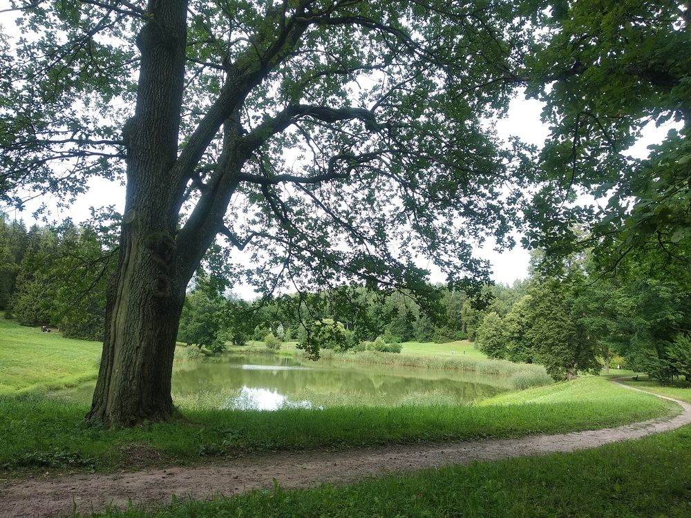 Photograph by Елена Никитина