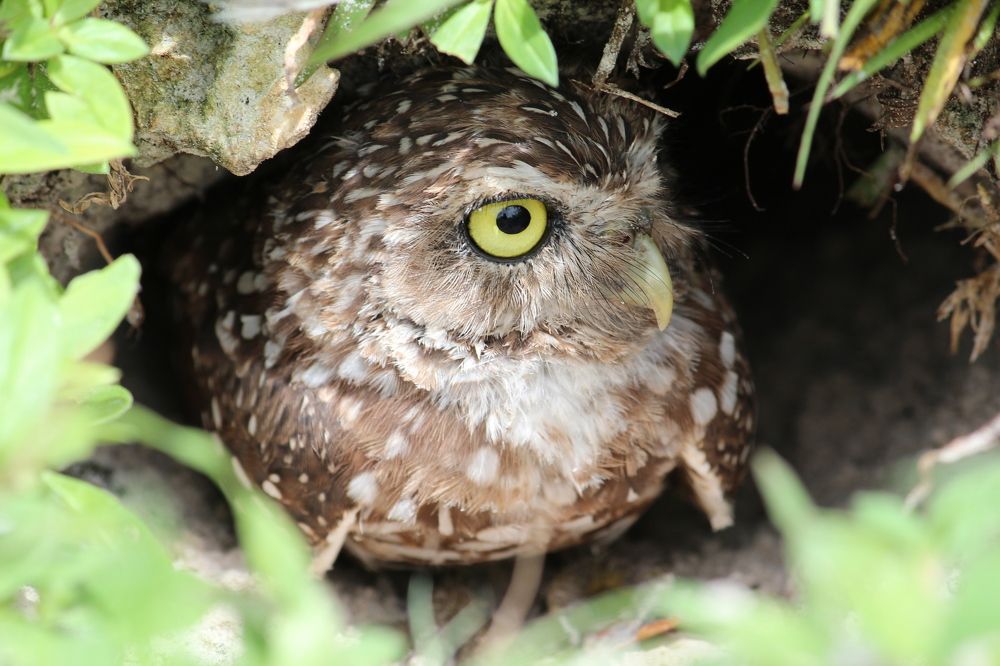 Photograph by Senthil Venugopalan