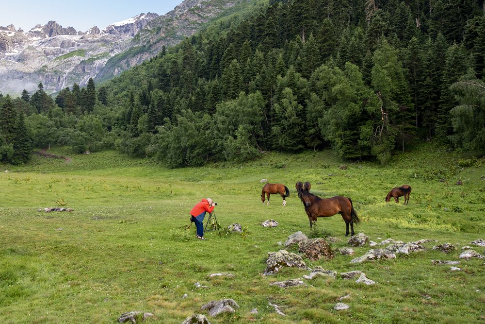 Photograph by Андрей Анатольевич Жуков