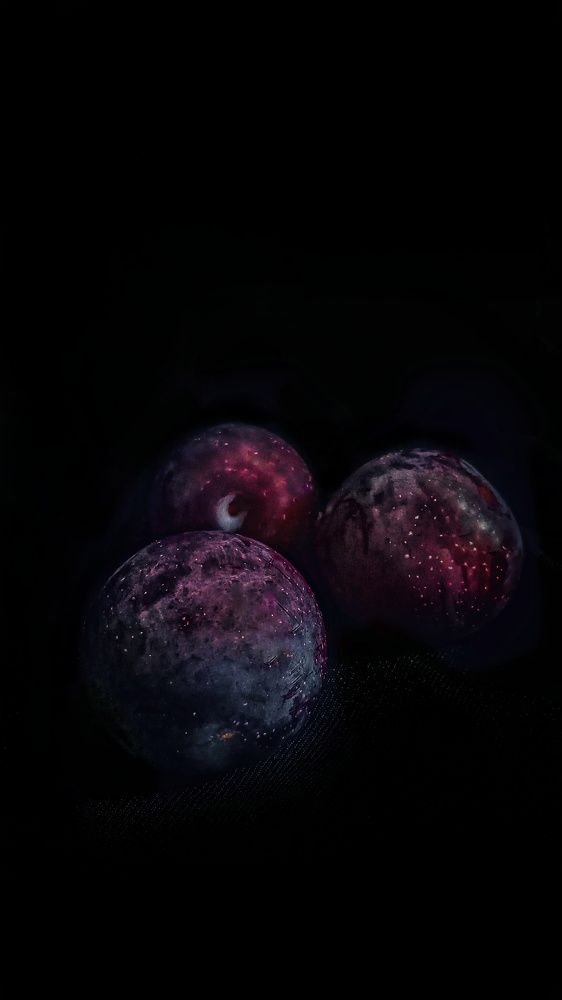 Photograph by Olga Oshchepkova