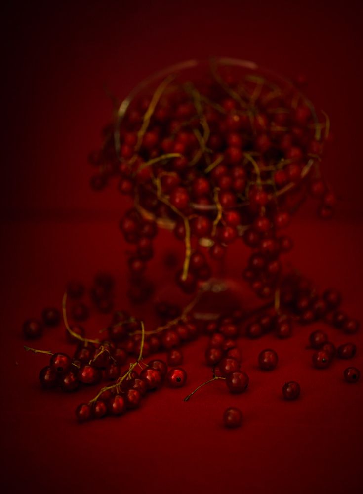 Фотография автора Алиса Чурчудесная