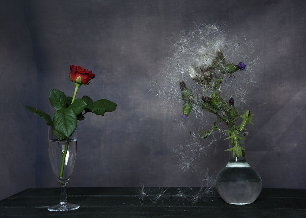 Photograph by Svetlana Khromova