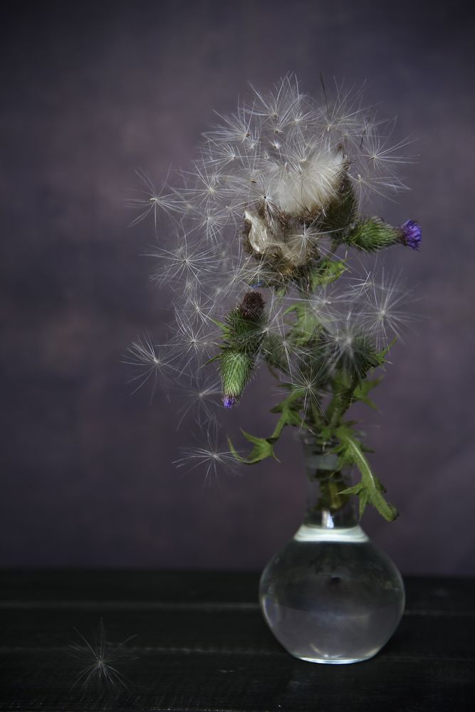 Photograph by Svetlana Khromova