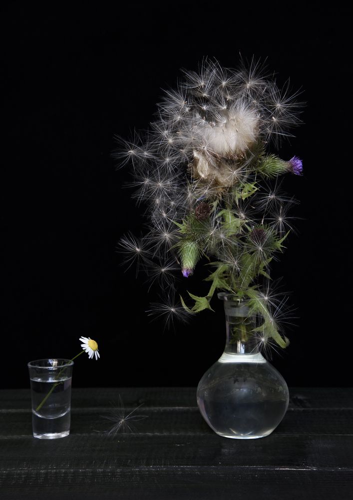 Photograph by Svetlana Khromova