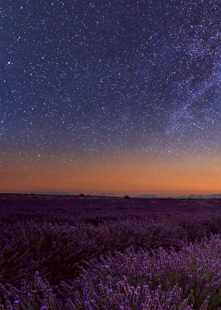 Photograph by Lakshitha Thiwanka