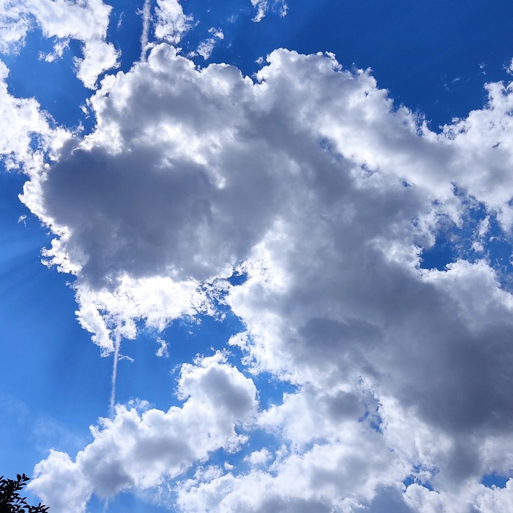 Белый дракон