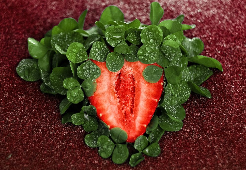 Интелегентная провокация