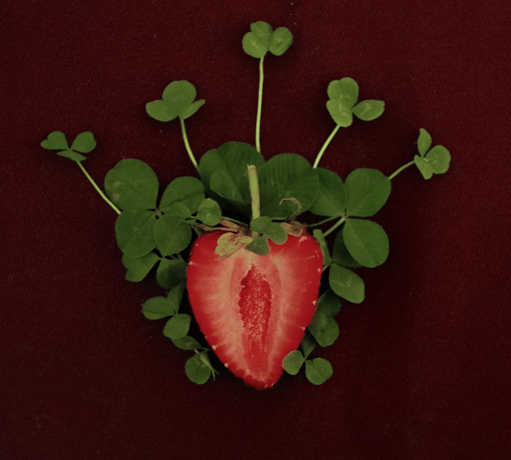 Photograph by Микола Боровський