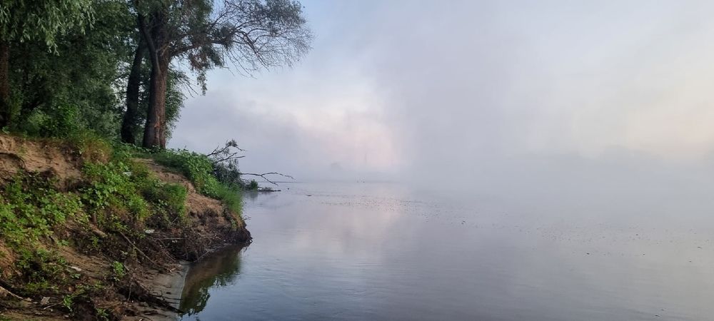 Photograph by Дмитрий Коршак