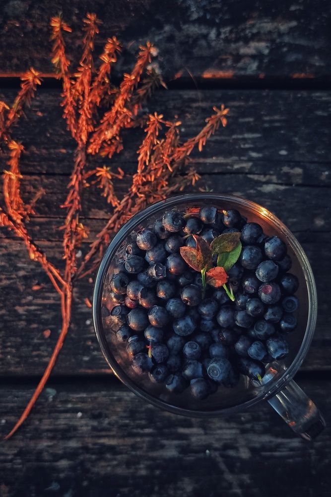 Photograph by Ольга Левакова