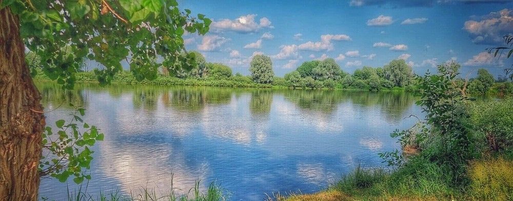 Photograph by Дмитрий Коршак