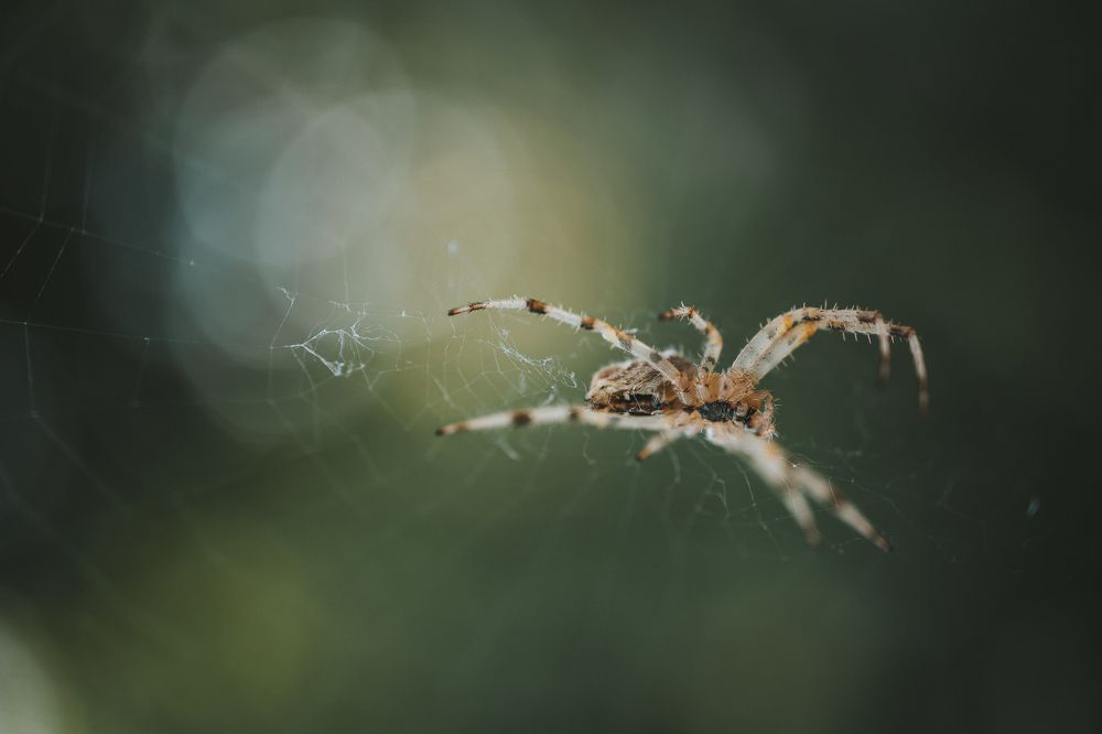 Photograph by Ксения Кузнецова