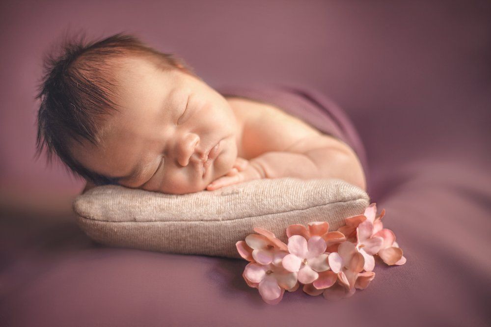 Фотография автора Алена Левина