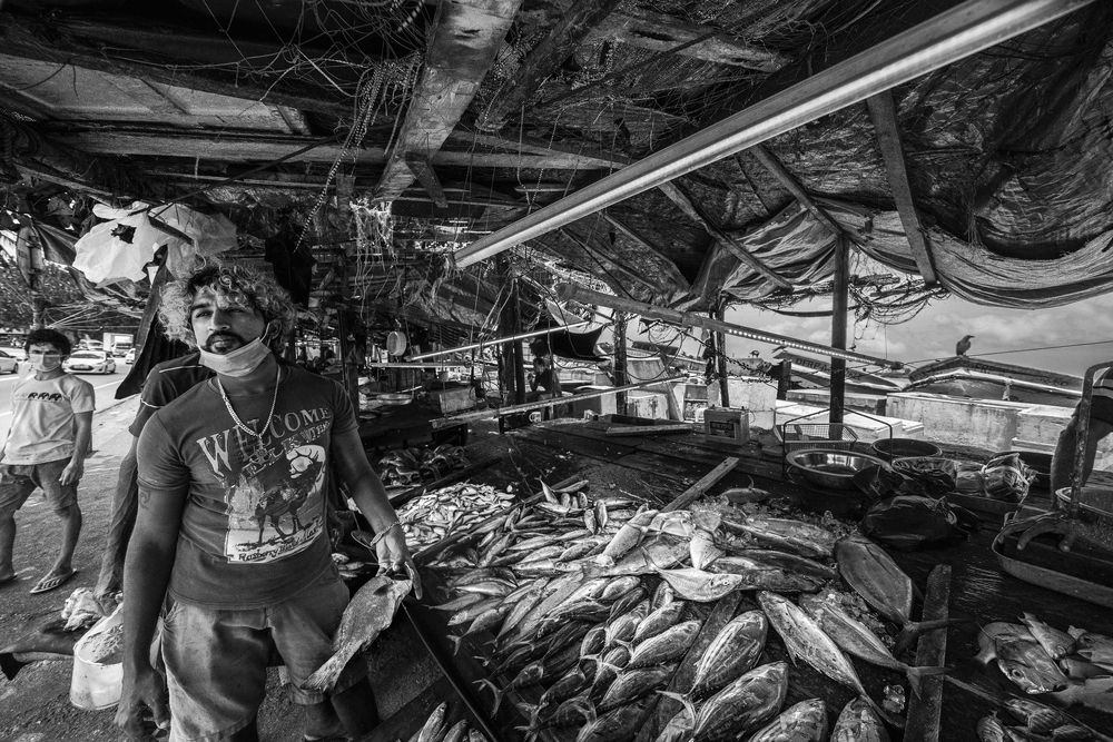 Photograph by pouyan safavi